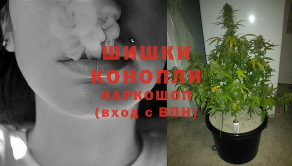 соль ск Кукмор