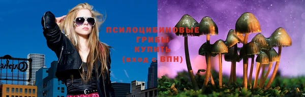 альфа пвп Куйбышев