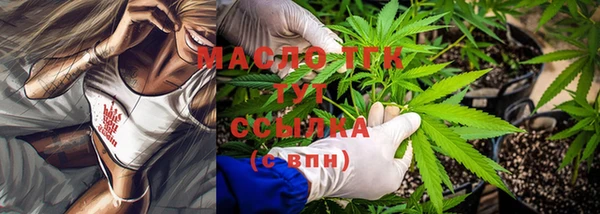 соль ск Кукмор