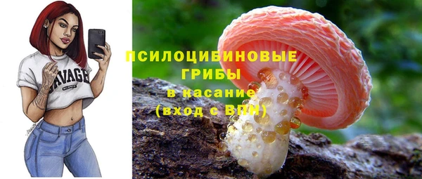 альфа пвп Куйбышев