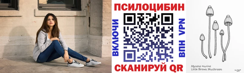 KRAKEN ссылка  Усть-Джегута  Псилоцибиновые грибы ЛСД  закладки 