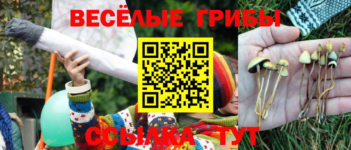 Галлюциногенные грибы Magic Shrooms Усть-Джегута